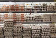 قیمت هر شانه تخم مرغ فله اعلام شد