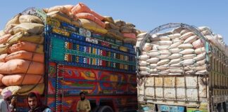 رشد صادرات ایران به افغانستان