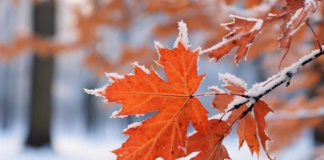 هشدار نارنجی برای کشاورزان ۲۹ استان