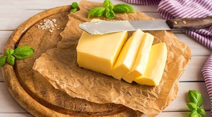 تولید لبنیات در دام تببرفکی