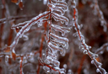 هشدار هواشناسی برای تهران صادر شد
