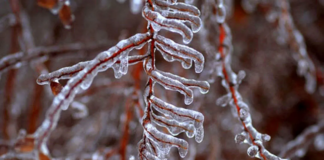 یخبندان در نیمه شمالی