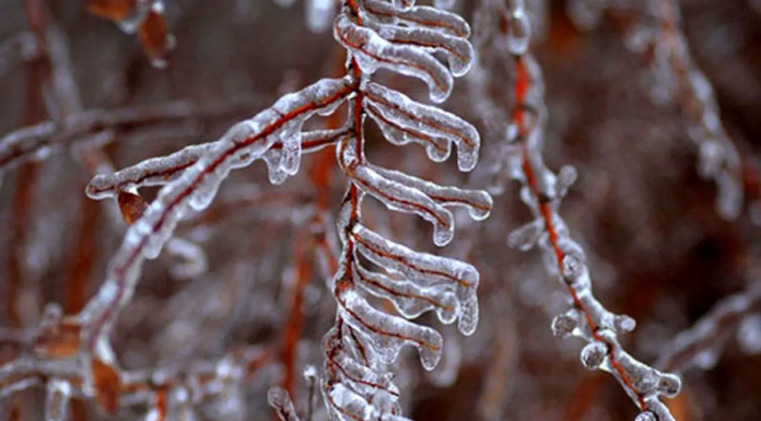 هشدار هواشناسی برای تهران صادر شد