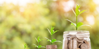 سرمایهگذاری بخش خصوصی اولویت اول دولت است