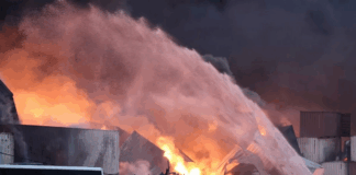 ردپای وزارت صمت در ماجرای برنجهای دپو شده در بندر شهید رجایی