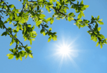 افزایش نسبی دما در اغلب مناطق کشور