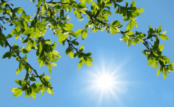 افزایش نسبی دما در اغلب مناطق کشور