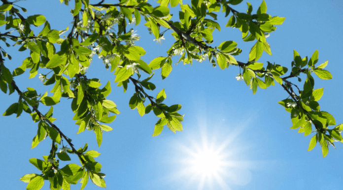 افزایش نسبی دما در اغلب مناطق کشور