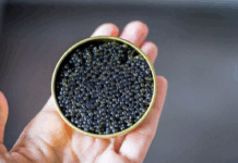 بیش از ۹۰ درصد خاویار تولیدی کشور صادر میشود