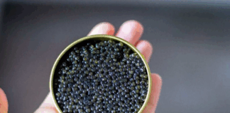 بیش از ۹۰ درصد خاویار تولیدی کشور صادر میشود