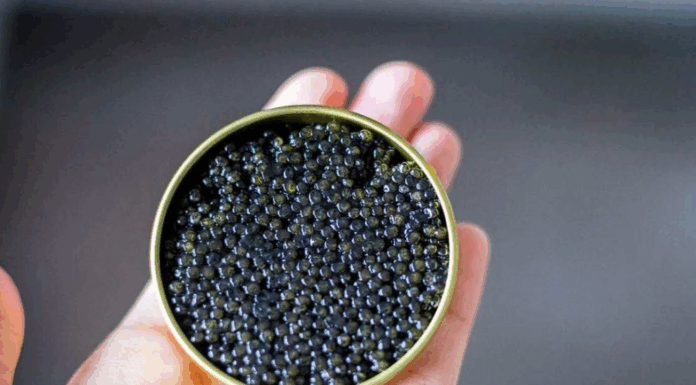 بیش از ۹۰ درصد خاویار تولیدی کشور صادر میشود