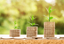 بحران محیط زیست و اثر تصمیمات غیرکارشناسی بر اقتصاد کشور