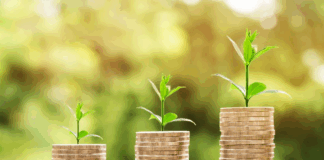 بحران محیط زیست و اثر تصمیمات غیرکارشناسی بر اقتصاد کشور