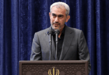 اعتقادی به رها کردن اقتصاد کلان ندارم