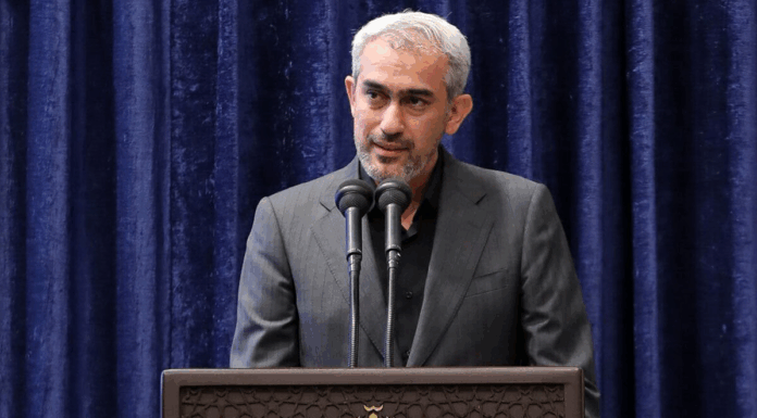 اعتقادی به رها کردن اقتصاد کلان ندارم