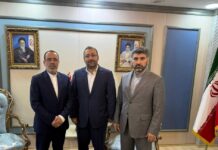 تشریح توانمندیها و مزیتهای صادراتی چادرملو در بازار عراق