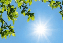 پیشبینی وضعیت هوا طی پنج روز آینده