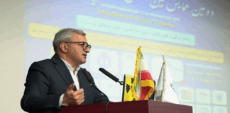 هدفگذاری حداکثری داخلیسازی در توسعه تارا هیبرید