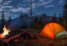 اقامت شبانه در جنگلها ممنوع شد