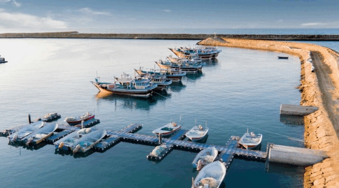 بنادر ماهیگیری دولتی واگذار میشود