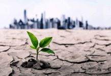 تهدید کمبود آب بر اقتصاد