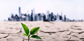 تهدید کمبود آب بر اقتصاد