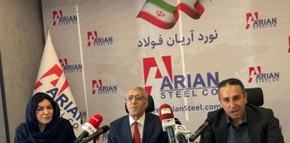 مدیرعامل آریان فولاد:حداقل حقوق کارگران بر مبنای دلار اصلاح شود/تعطیلی 6 ماهه تولید
