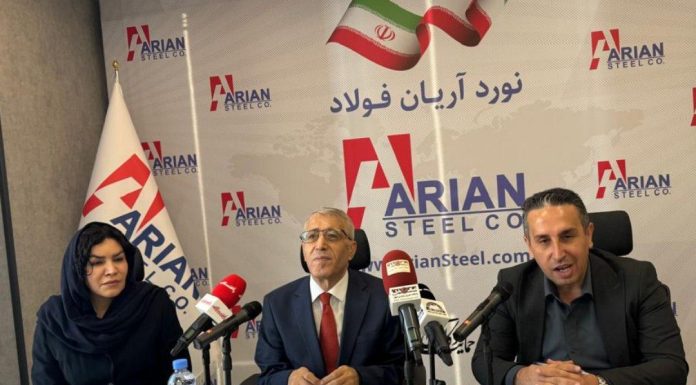 حداقل حقوق کارگران بر مبنای دلار اصلاح شود/تعطیلی 6 ماهه تولید