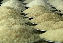 تورم ۲۰۰درصدی برنج در یکسال