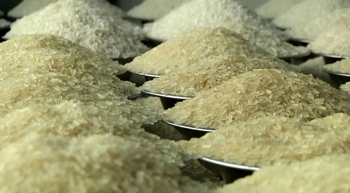 تورم ۲۰۰درصدی برنج در یکسال