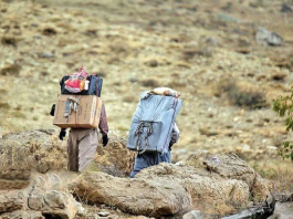 تجارت ملوانی و کولبری زیر ذرهبین استاندارد