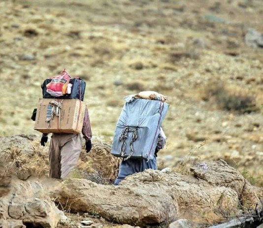 تجارت ملوانی و کولبری زیر ذرهبین استاندارد